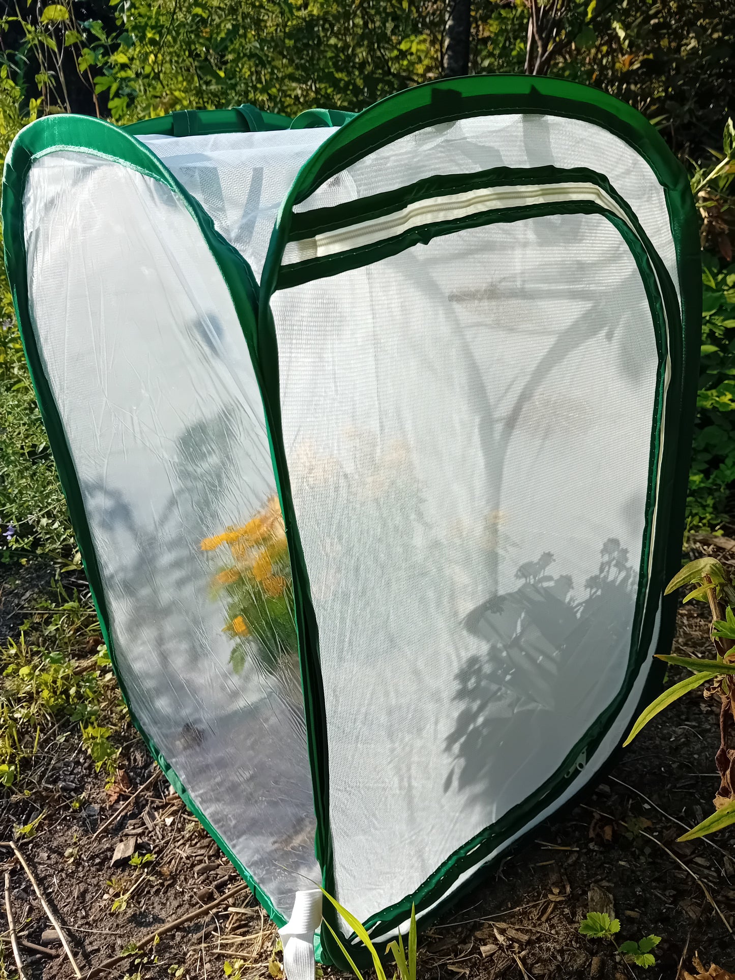 Netzkäfig für Schmetterlinge und Raupen