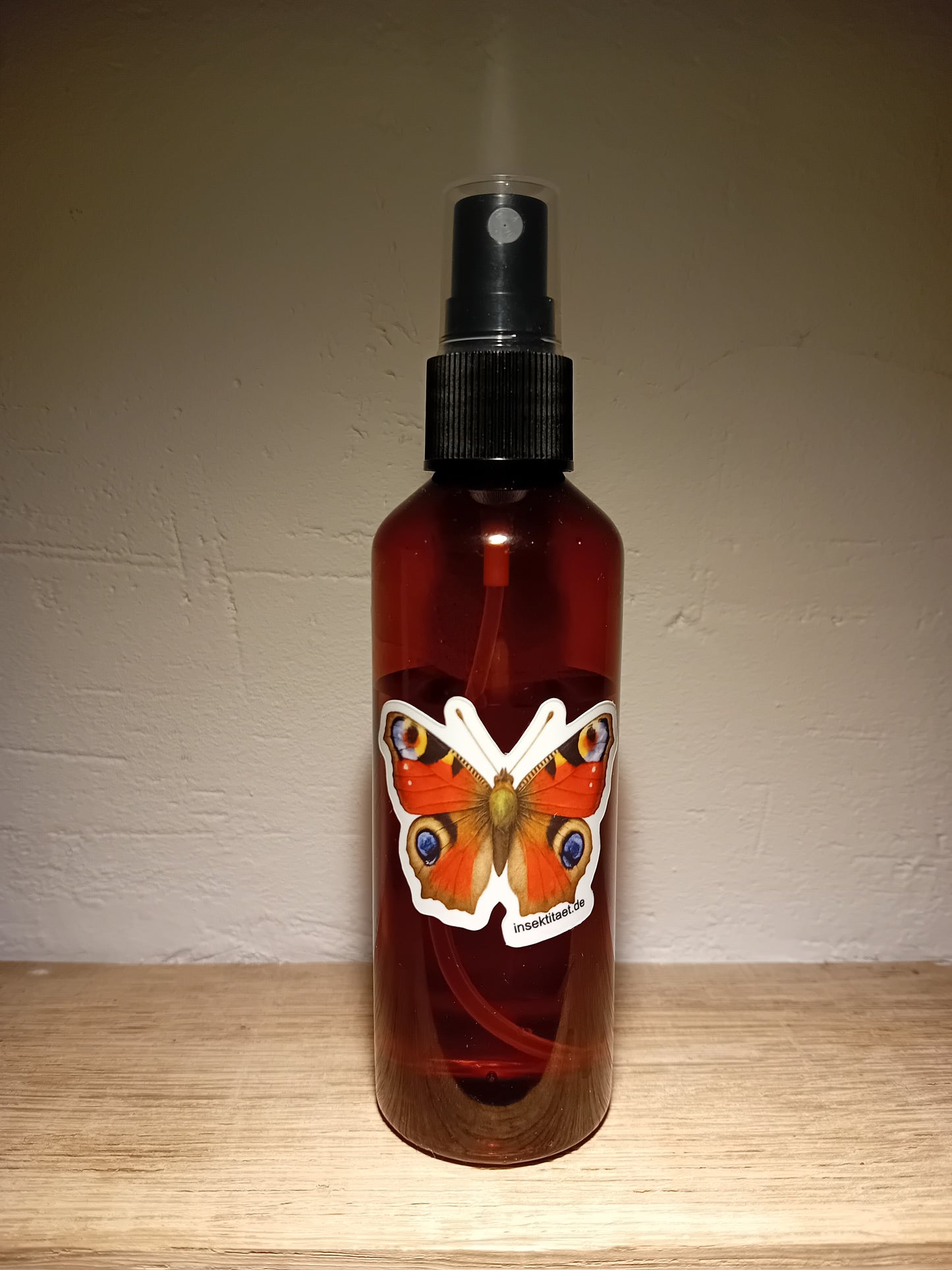 Starterset (Gespenstschrecken) mit/ohne Eiern